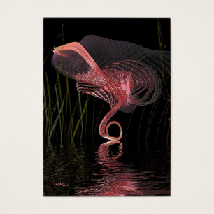 Danse de minuit du Flamant rose rose - artiste