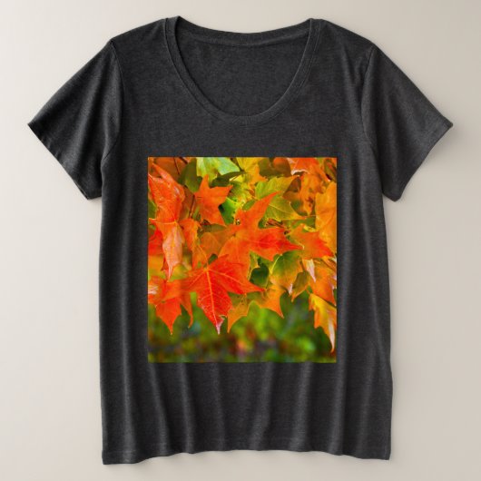 Danse Maple Leaf (Design devant)