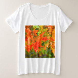 Danse Maple Leaf
