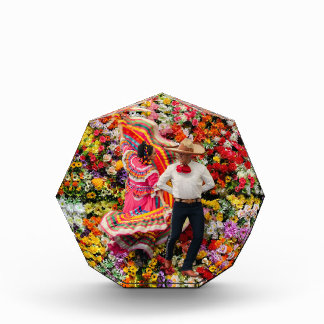 DANSEN IN BLOEI FOTOBLOKKEN
