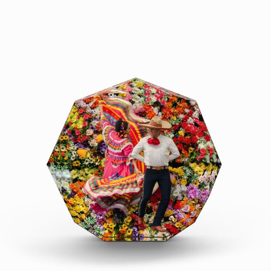 DANSEN IN BLOEI FOTOBLOKKEN (Voorkant)