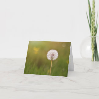 Dansen met de Kaart van de Nota van Paardebloemen