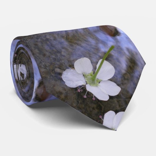 Dansen op water stropdas (Opgerold)