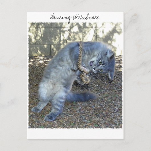 Dansend met slang briefkaart (Voorkant)