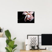 Dansend Roos 19x13 Poster (Thuiskantoor)