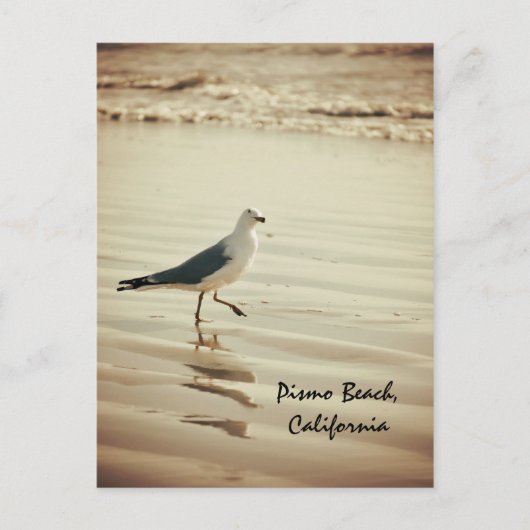 Dansend Seagull Briefkaart (Voorkant)