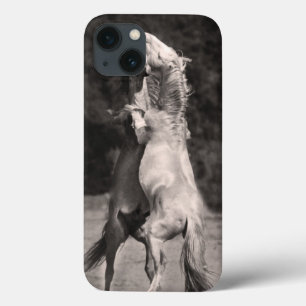 Dansende allions iPhone 13 hoesje