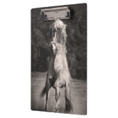 Dansende allions klembord (Links)