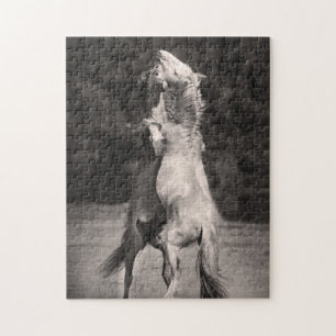 Dansende allions legpuzzel