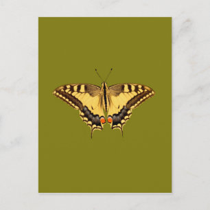 Dansende Butterfly Briefkaart