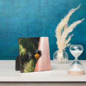 Dansende Caterpijler Fotoplaat (Insitu)