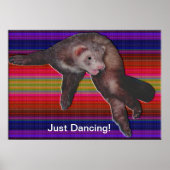 Dansende fret poster (Voorkant)