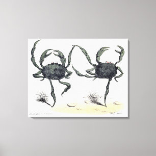 Dansende krabben op doek canvas afdruk