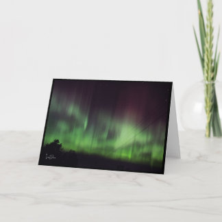 Dansende lichten over rustige bomen Blank Kaart