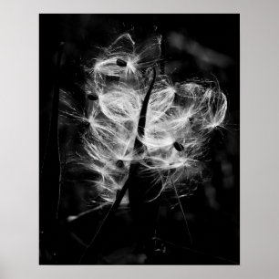 Dansende mokwee poster