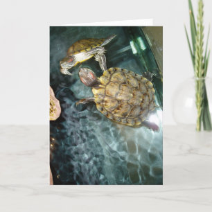 "Dansende schildpadden" - Birthday-kaart Kaart