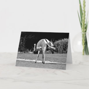 Dansende Zebra Birthday-kaart Kaart