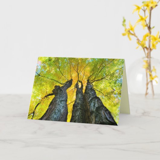 Danses Dames, Carte Automne, automne, arbre (Fleur jaune)