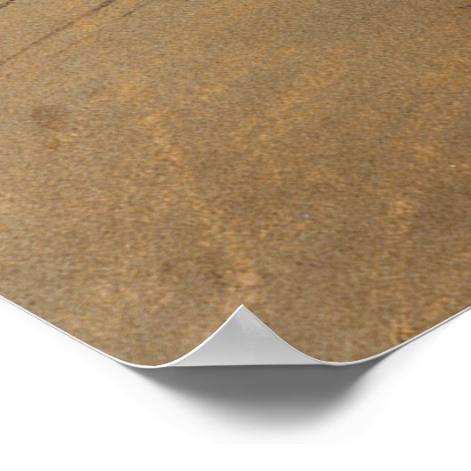 Danseuse (danser), Edgar Degas Poster (Hoek)