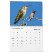 Dansflessen Kalender (Mar 2026)