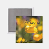 Danspapaver, Arizona Magneet (Voorkant / Achterkant)