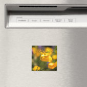 Danspapaver, Arizona Magneet (Insitu (Vaatwasser))