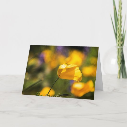 Danspoppies Kaart (Voorkant)