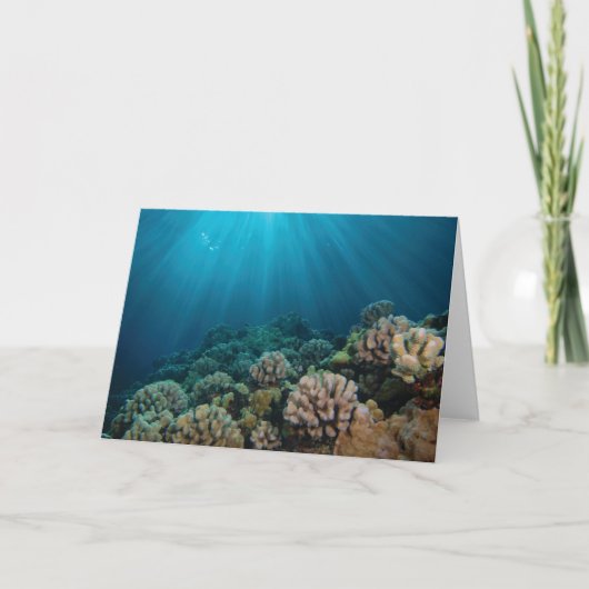 Danszonlicht Kaart (Voorkant)