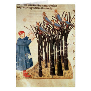 Dante en Souls omgevormd tot vogels
