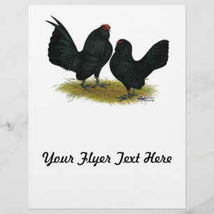 D'Anvers Black Bantams Flyer