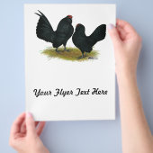 D'Anvers Black Bantams Flyer (Hand)