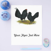 D'Anvers Black Bantams Flyer (Enkel)