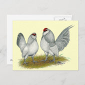 D'Anvers Self Blue Bantams Briefkaart (Voorkant / Achterkant)