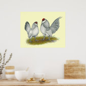 D'Anvers Self Blue Bantams Poster (Keuken)