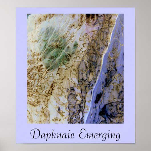 Daphnaie Emerging Poster (Voorkant)