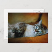 Daphne Briefkaart (Voorkant / Achterkant)