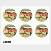 Dapped Bay Ronde Sticker (Vel)