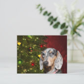 Dapped Dachshund Kerstmis Feestdagenkaart (Staand voorkant)