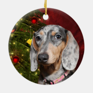 Dapped Dachshund Kerstmis Keramisch Ornament