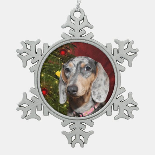 Dapped Dachshund Kerstmis Tin Sneeuwvlok Ornament (Voorkant)