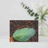 Dapped Leaf Briefkaart (Staand voorkant)