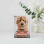D'appel Carte de commerce de photo d'animal de compagnie,  (Debout devant)