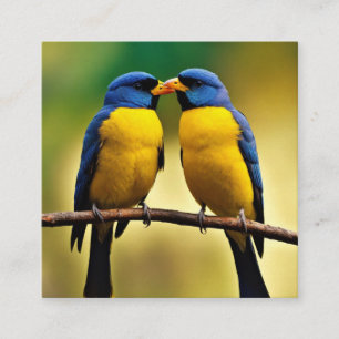 D'appel Carte de visite 🌹 🌹