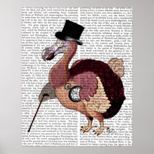 Dapper Dodo Poster