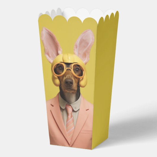 Dapper paashaas bedankdoosjes (Voorkant)