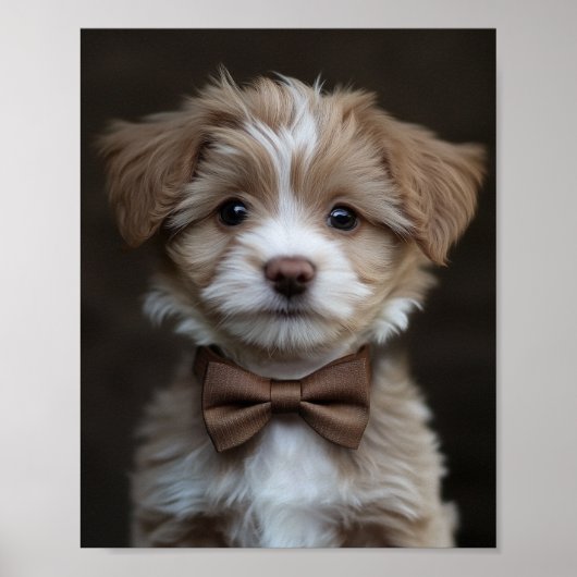 Dapper uitziende pup poster (Voorkant)