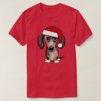 Dapple Dachshund Santa Wiener Hondenkerst