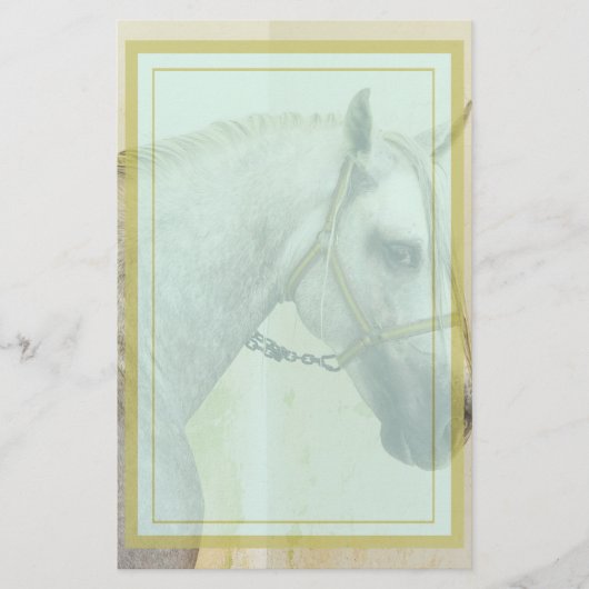 Dapple Gray Andalusië Horse Briefpapier (Voorkant)