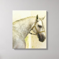 Dapple Gray Andalusië Horse