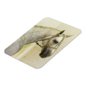 Dapple Gray Andalusië Horse Magneet (Linkerzijde)